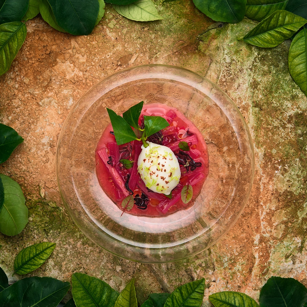 Sorbetto allo yogurt e limone