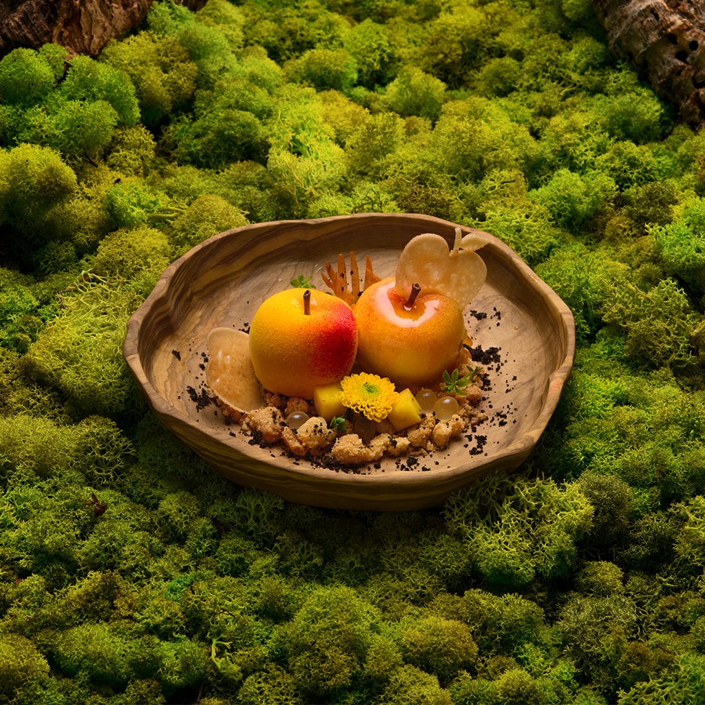 Panna cotta Panna cotta