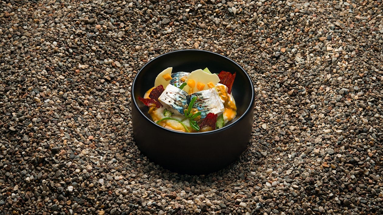 Sgombro marinato – - Ricetta
