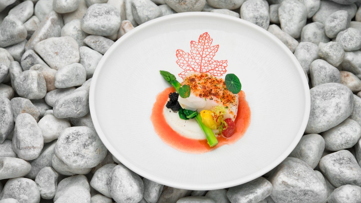 Baccalà al vapore all’Ibisco con il suo infuso con polentina di mais bianco, pomodorini agrumati e asparagi verdi