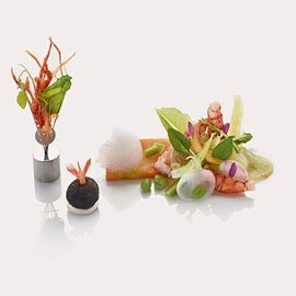 Gamberi al vapore di alghe con terrina di carotine novelle al succo di yuzu e asparagi verdi e aria di limone Gamberi al vapore di alghe con terrina di carotine novelle al succo di yuzu e asparagi verdi e aria di limone