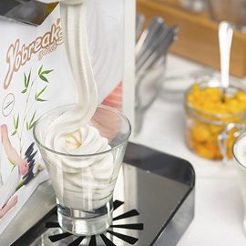 Gelato al fior di latte con gocce di cioccolato e frutta esotica Gelato al fior di latte con gocce di cioccolato e frutta esotica
