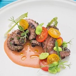 Polpo al vapore con gazpacho di pomodoro, zenzero e menta Polpo al vapore con gazpacho di pomodoro, zenzero e menta