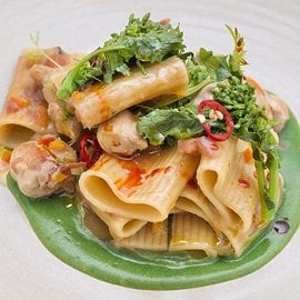 Rigatoni con crema di broccoli e bocconcini di coniglio all'olio piccante Rigatoni con crema di broccoli e bocconcini di coniglio all'olio piccante