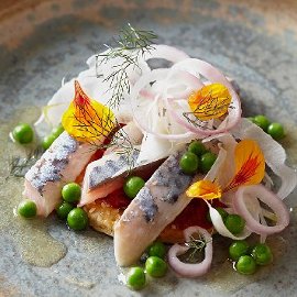 Sgombro marinato agli agrumi con insalata di finocchio croccante Sgombro marinato agli agrumi con insalata di finocchio croccante