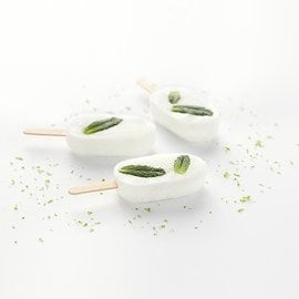 Stecco sorbetto al mojito