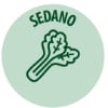 Sedano