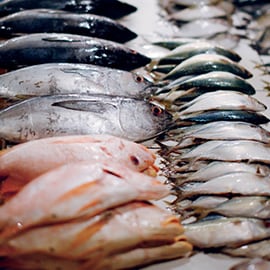 7. Pesce 7. Pesce