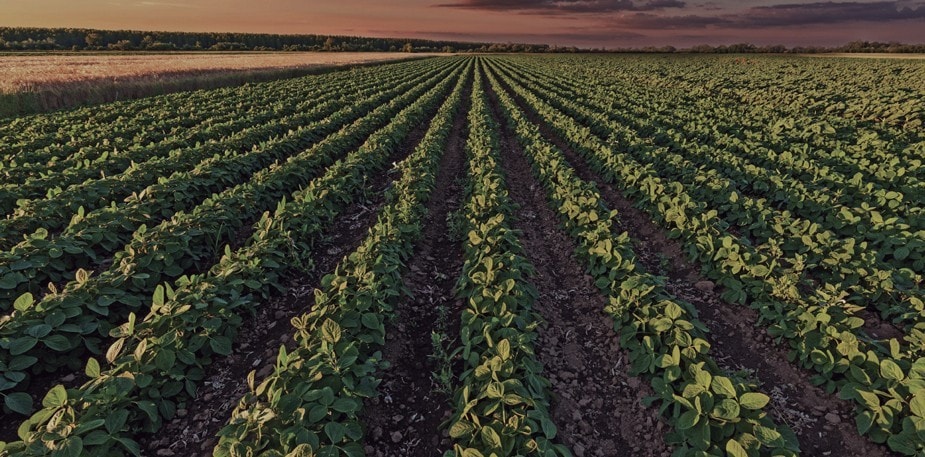 Fai la differenza con Knorr Fai la differenza con Knorr