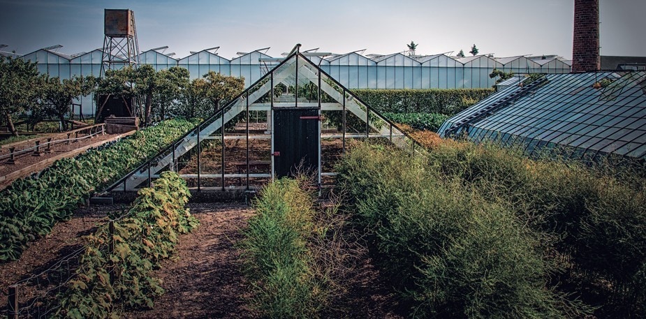 La ristorazione sta cambiando