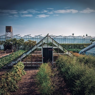 La ristorazione sta cambiando