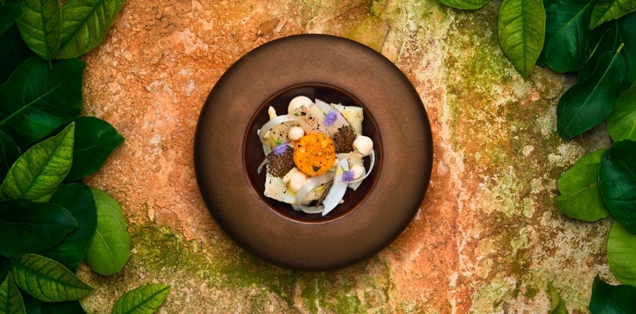 Scopri il calendario degli eventi formativi realizzati in collaborazione con la Federazione Italiana Cuochi