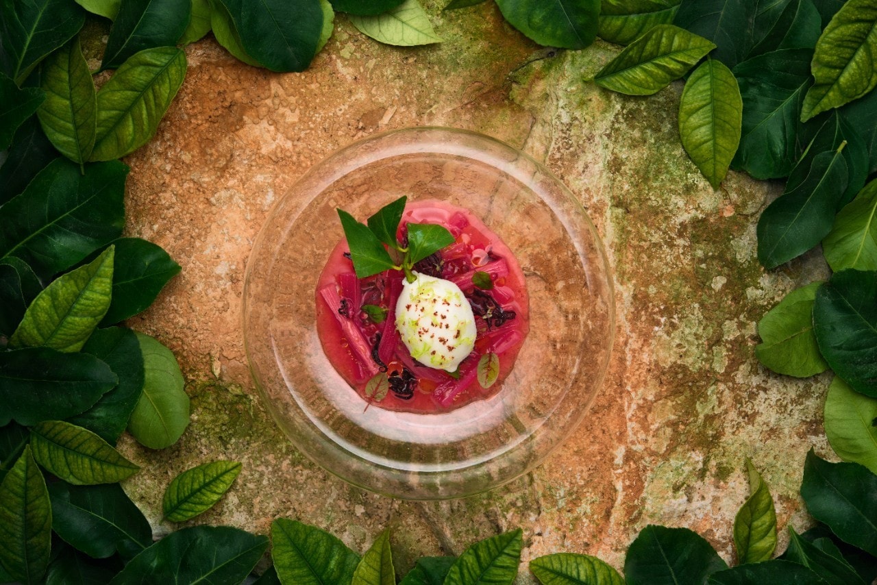 Tecniche di presentazione per ottimizzare il valore del piatto