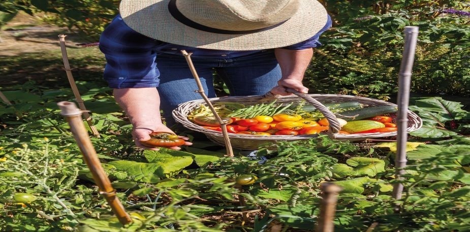 Uno Chef senza sprechi