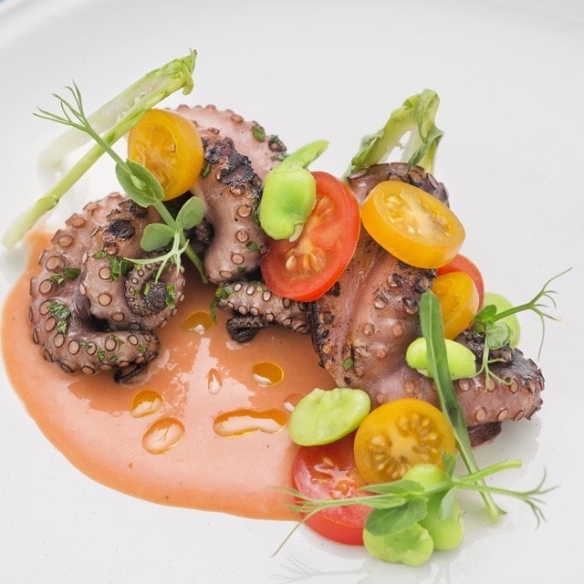 I piatti monocromatici: un nuovo trend in cucina