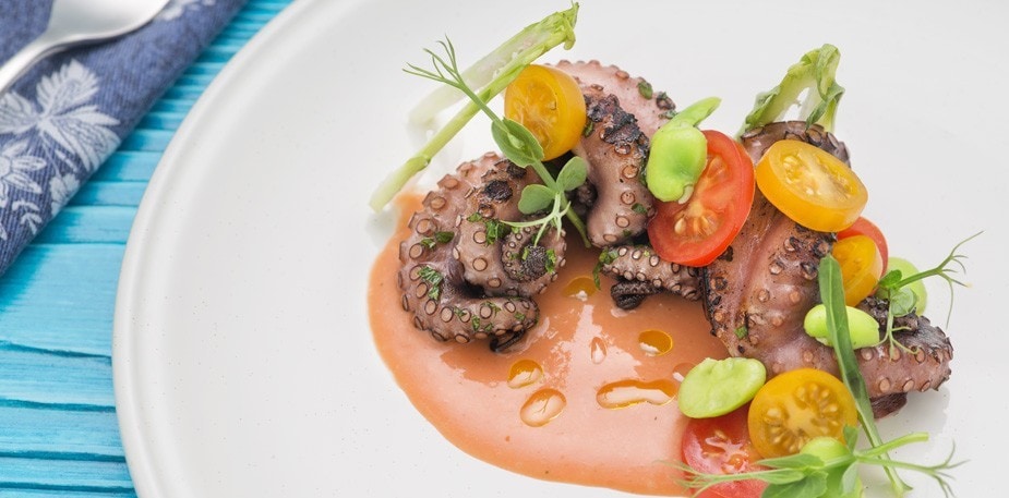 I piatti monocromatici: un nuovo trend in cucina