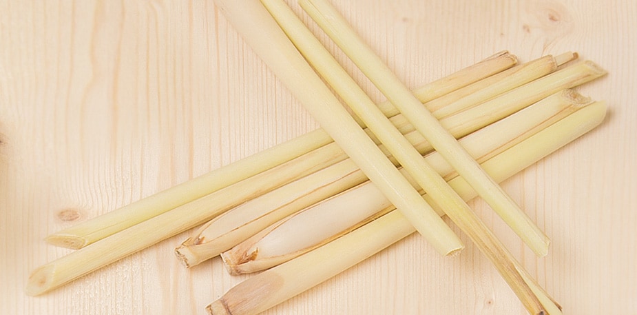 Lemon Grass