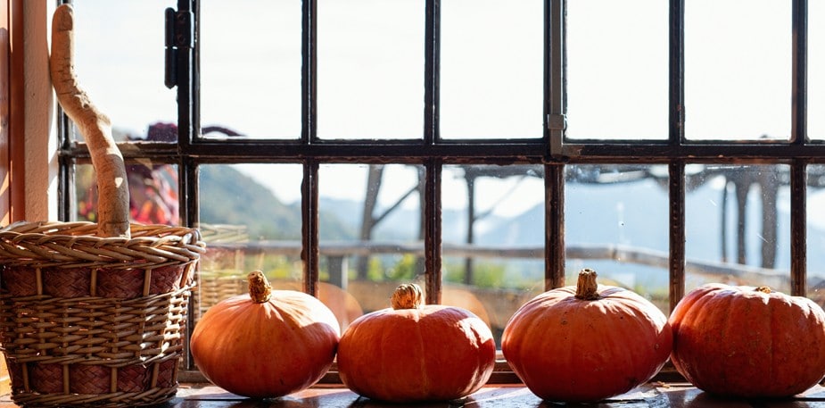 Un menù perfetto per l'Autunno