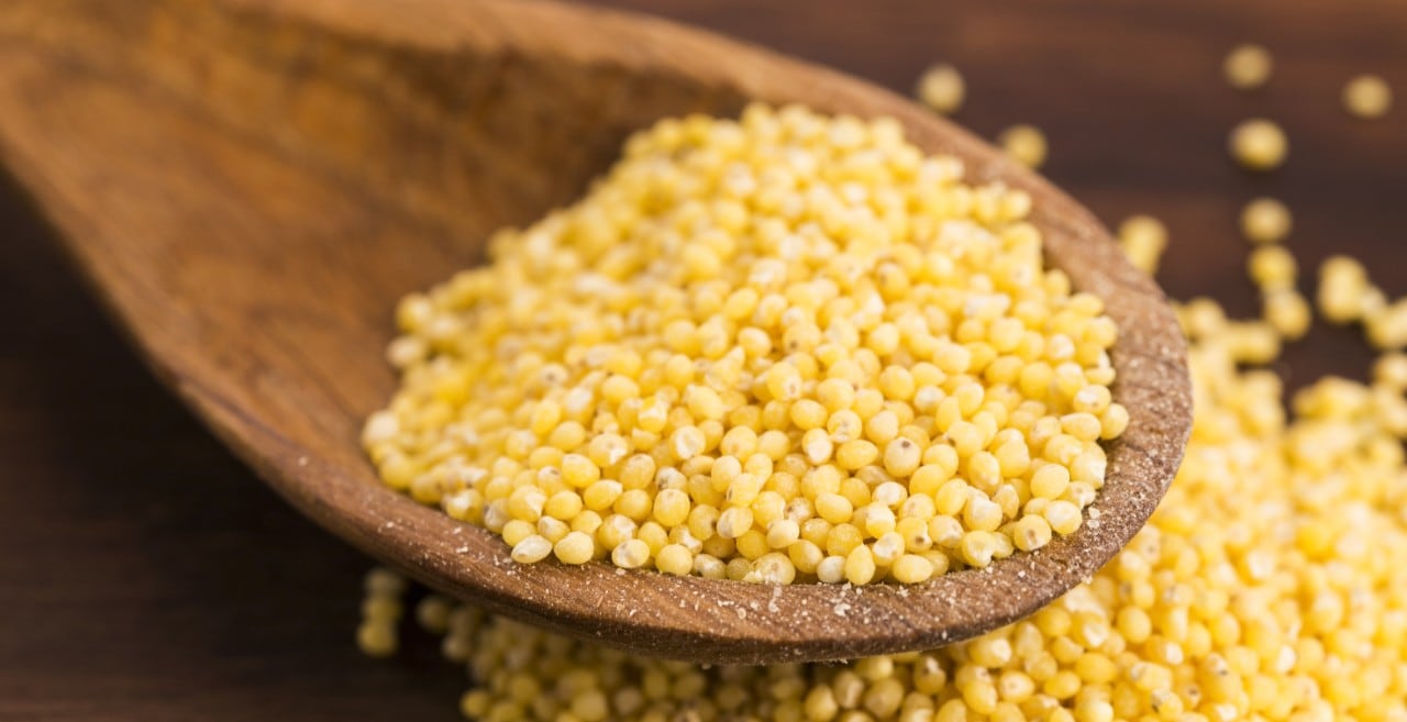 I cereali coltivati dai nostri antenati stanno tornando