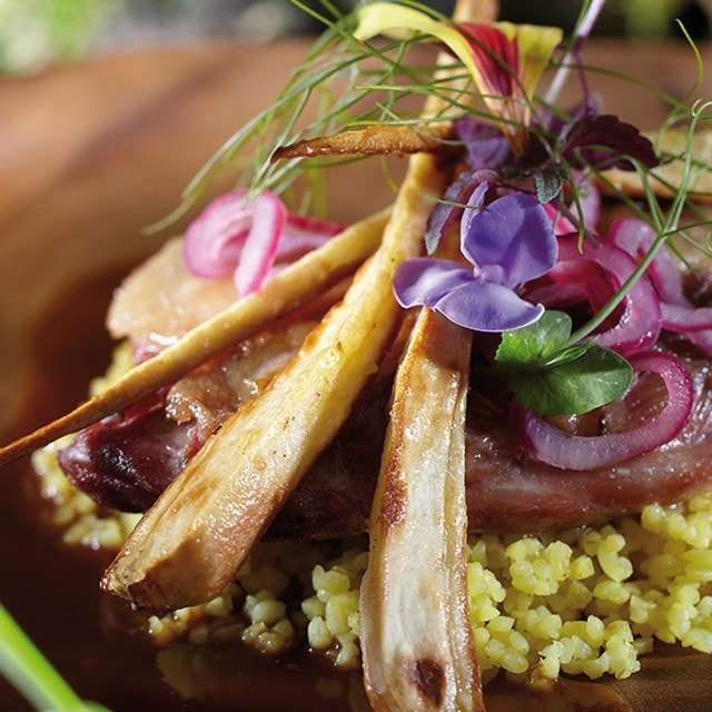 Antipasti e Insalate