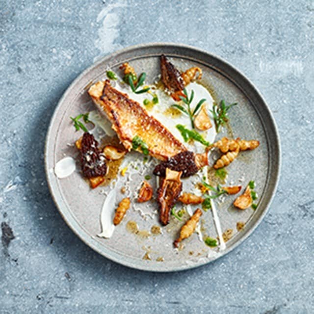 8 Impiattamenti Moderni & Stili di Presentazione