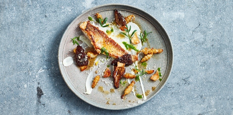 8 Impiattamenti Moderni & Stili di Presentazione